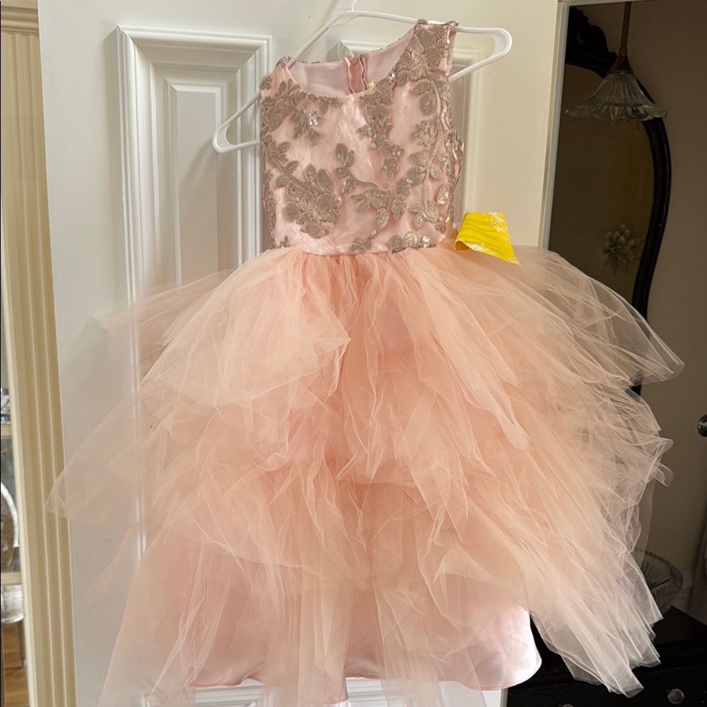 Elegant ballet Pink Tulle Dress with Floral silver sequins, tulle and Embroidery